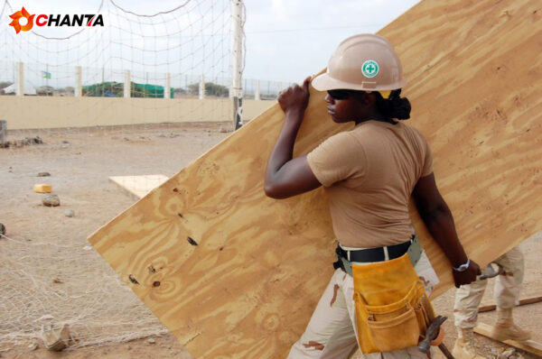 CDX-Plywood-03-1024×679