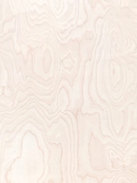 birch wood veneer