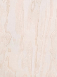 pine wood veneer