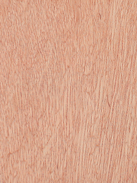 bingtangor wood veneer
