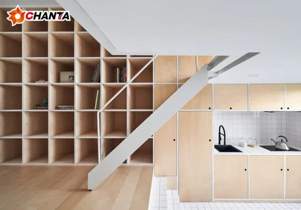 birch plywood (5) birch plywood