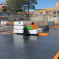 film faced brcih plywood