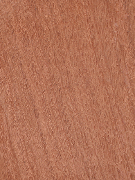 Sapele veneer